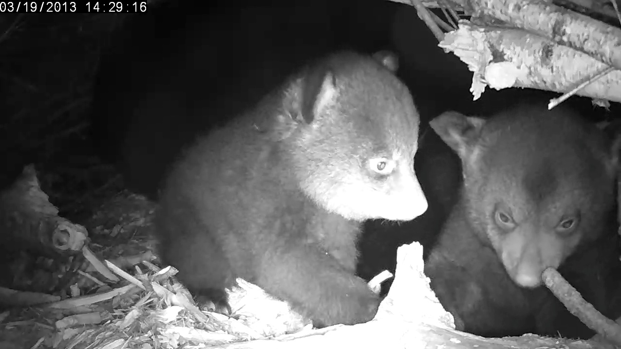 Okay, which is which?