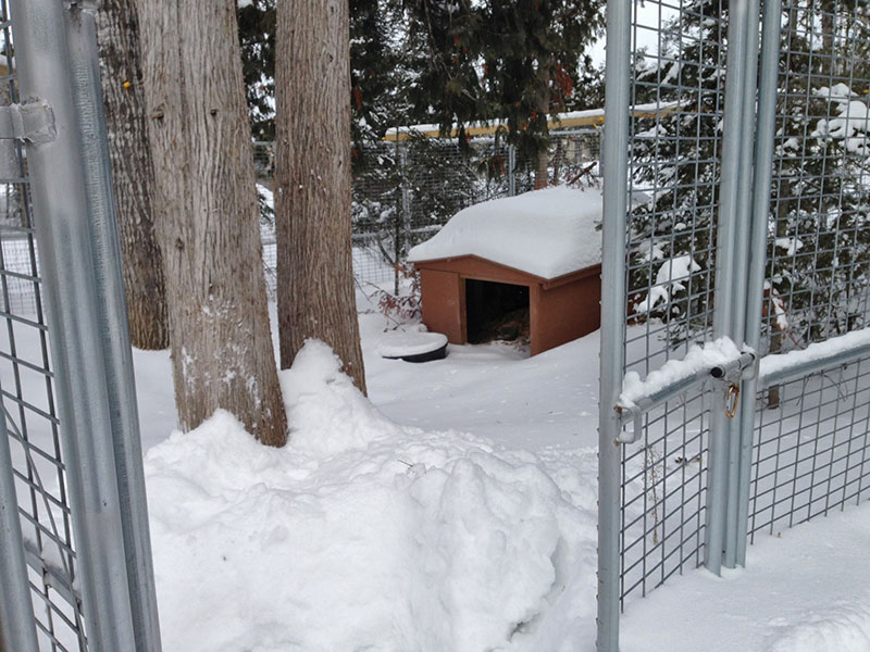 Ted's den through open gate