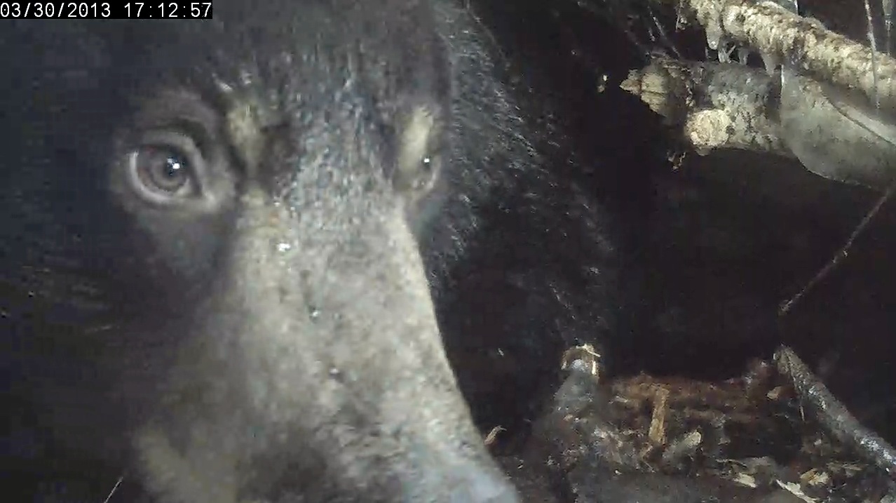 Water runs down Lily's nose