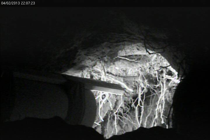 Jewel's den at night from PTZ camera
