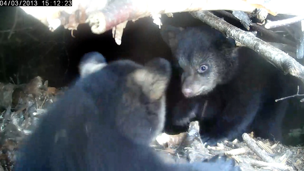 Eli braces for Ellie's assault