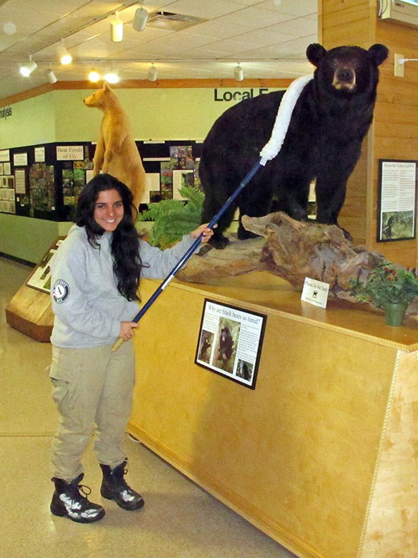 Americorp volunteer cleans taxidermy