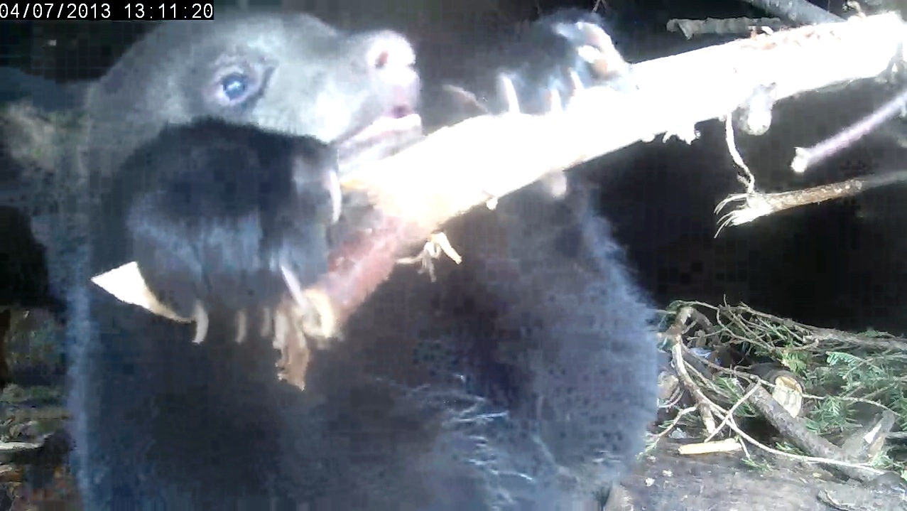 The daily chin-up routine