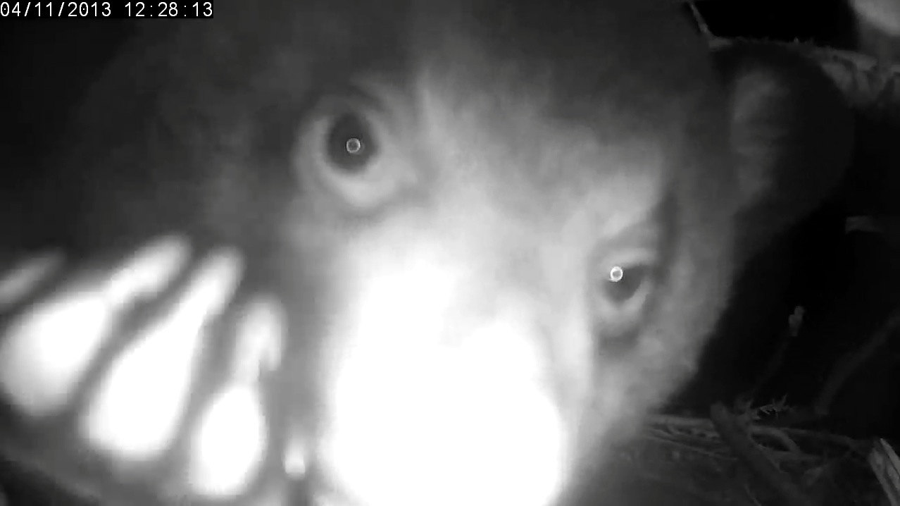 Camera gets thorough inspection