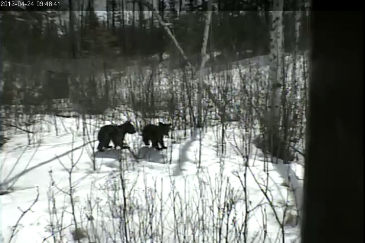 Eli and Ellie frolic near PTZ