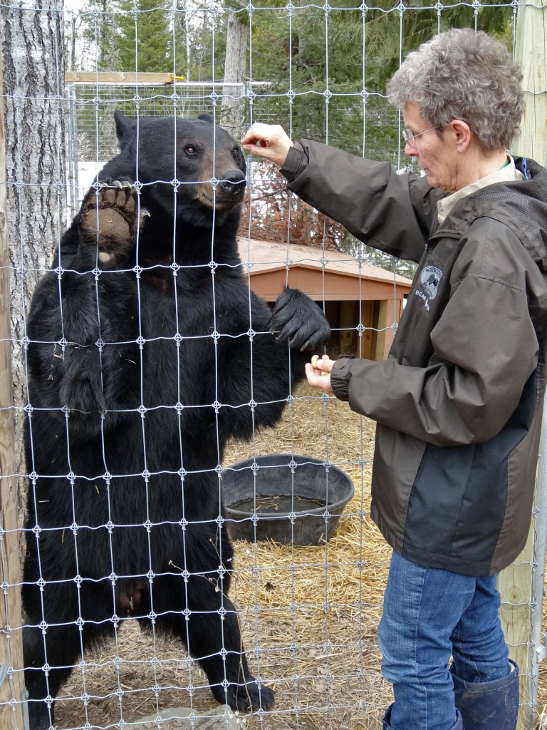 Judy Thon feeds Lucky