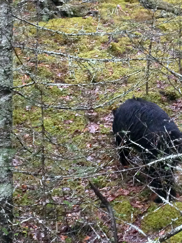 Faith climbs steep outcrop
