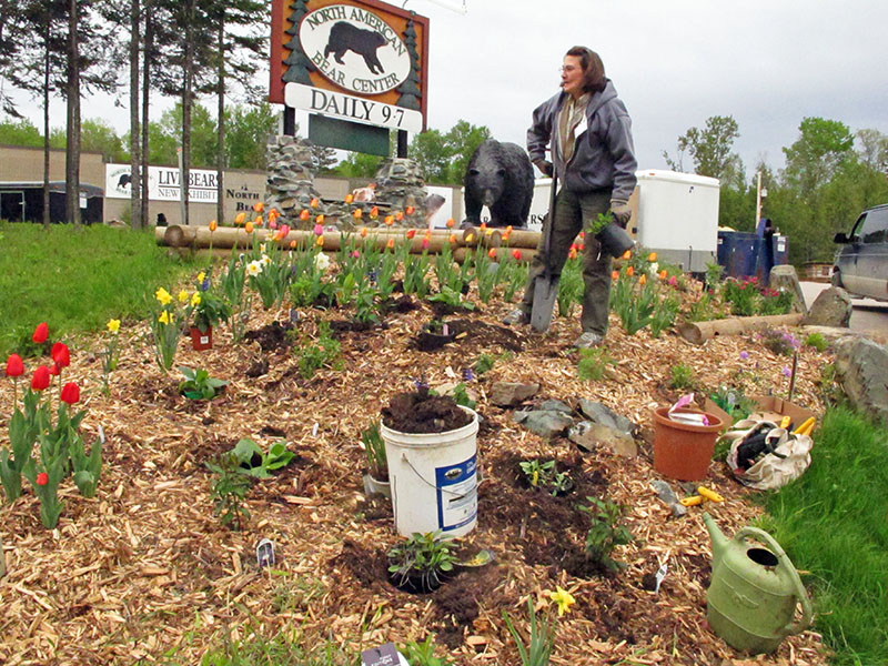 Donna Rogers tends gardens
