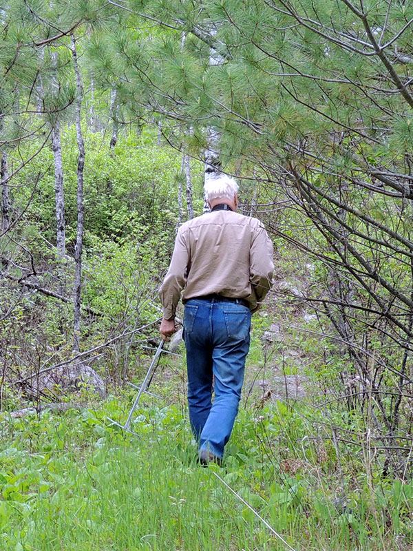 Lynn tracks down Fern