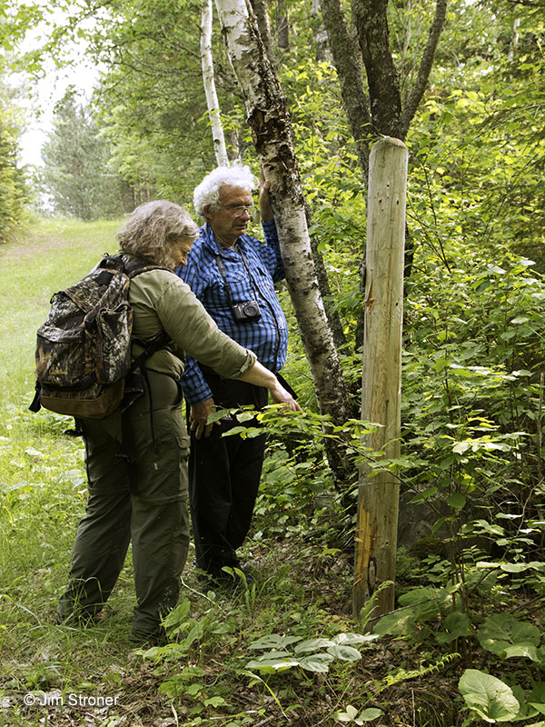 Sue and Charlie check out bear sign