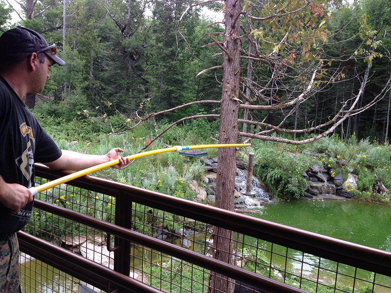 Zack hangs feeder