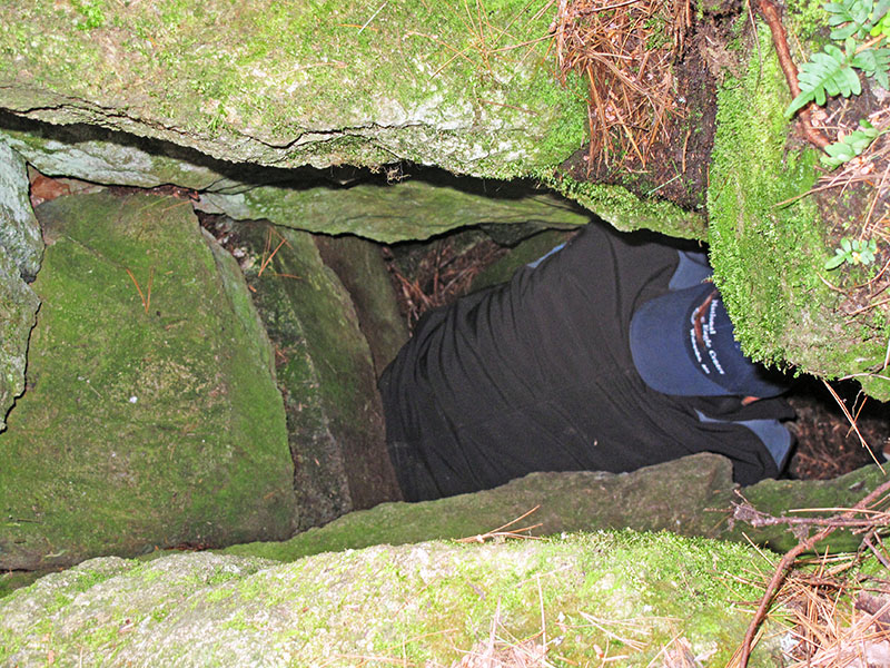 Al explores Lily Faith den