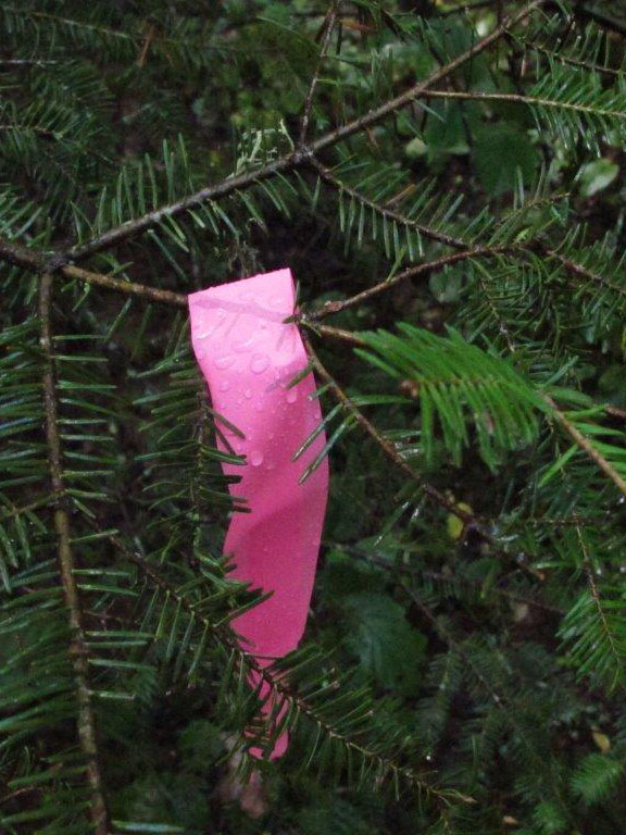 Flagging