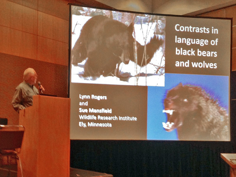 Lynn's presentation