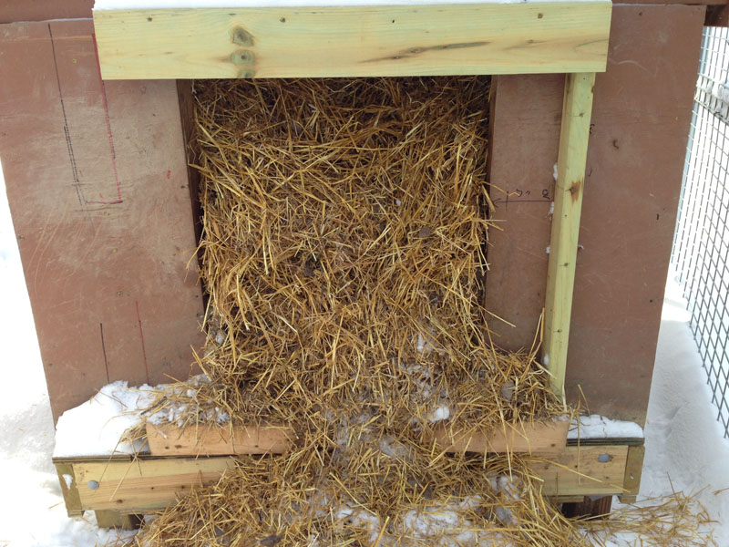 Ted moved straw to back