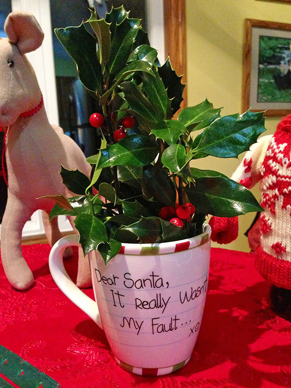 Holly berries