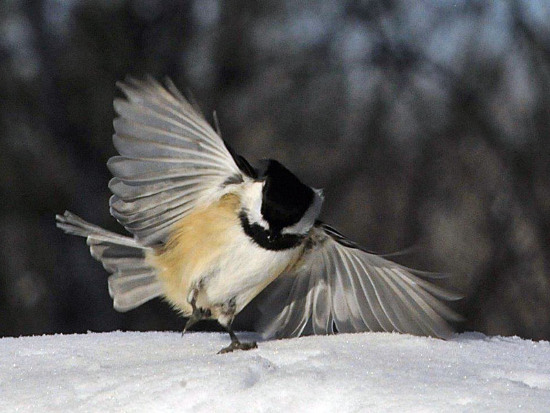 Soft landing