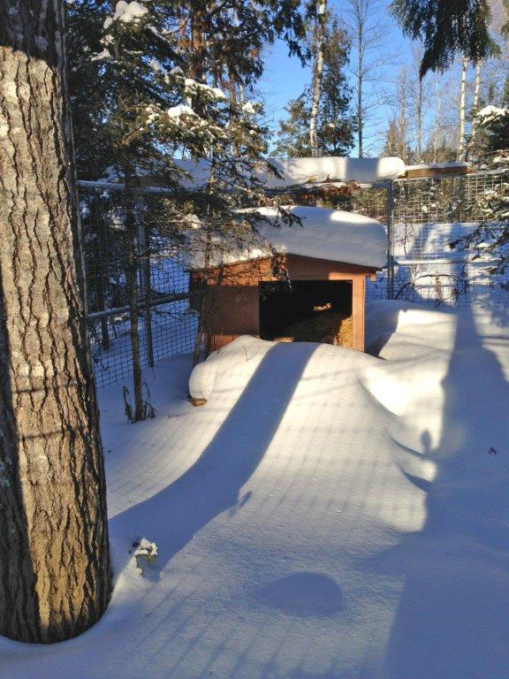 Ted's den