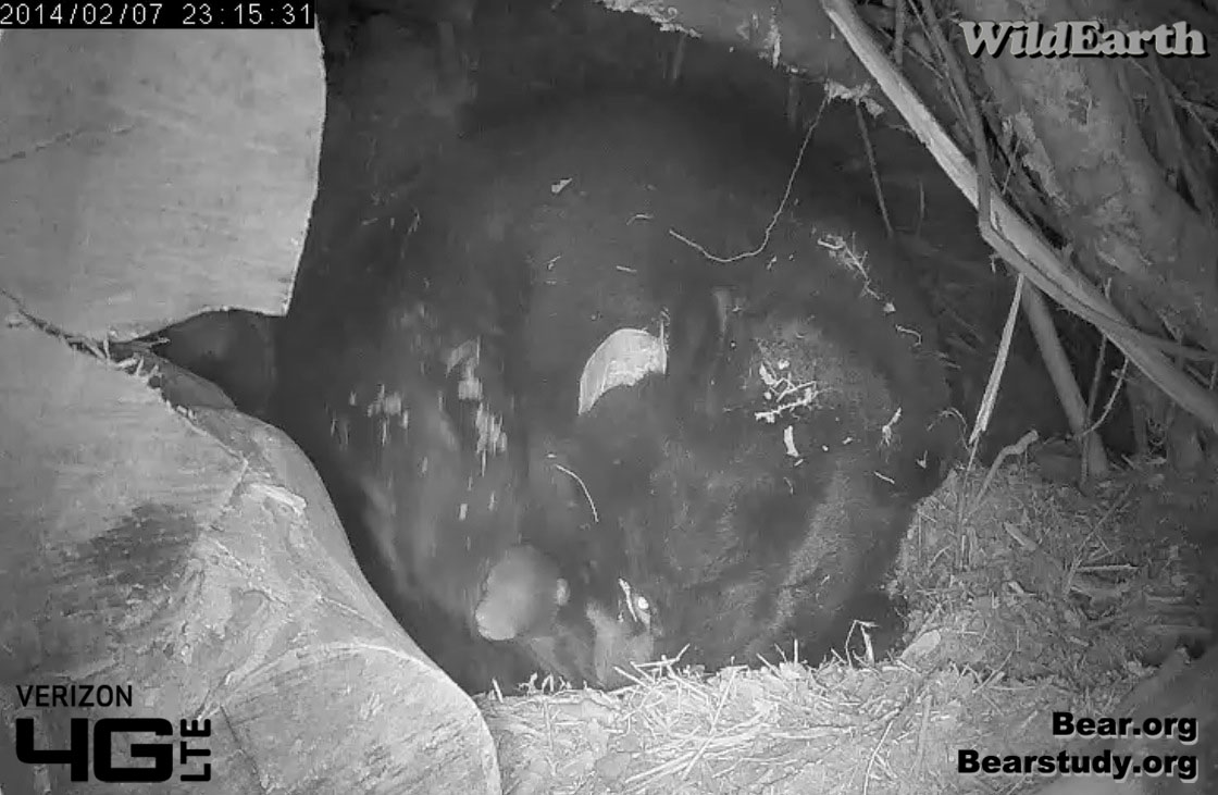 Juliet - Feb 7, 2014