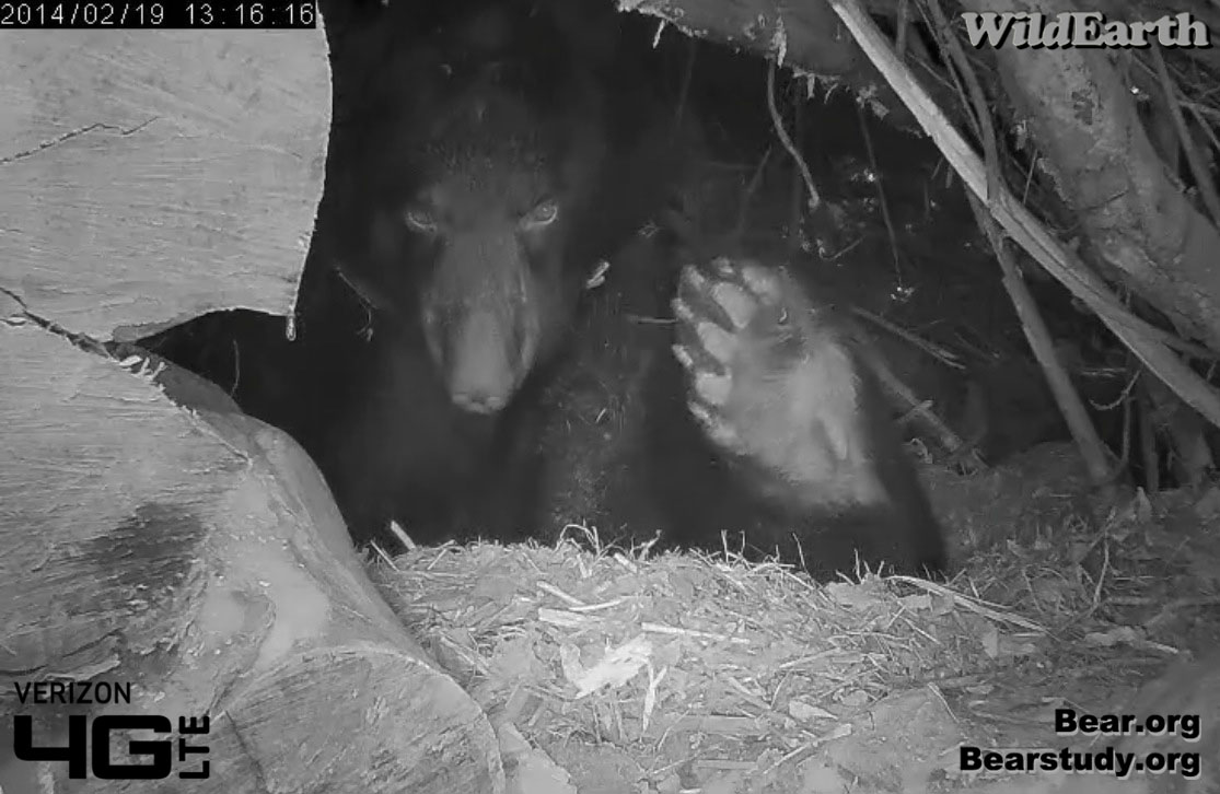 Juliet stretches - Feb. 19