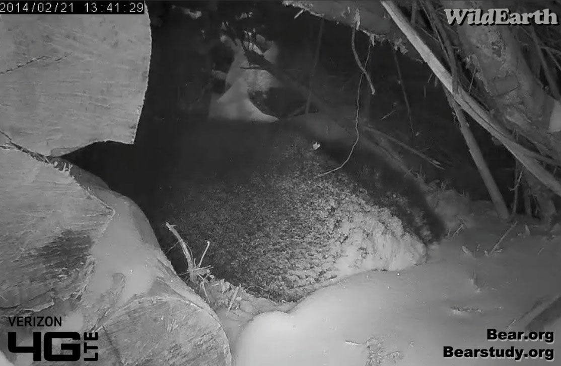 After the storm - Feb 21