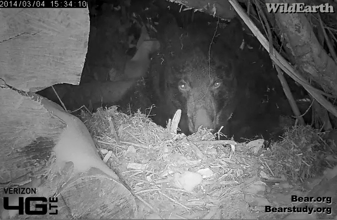 and wonders if Spring will ever get here!