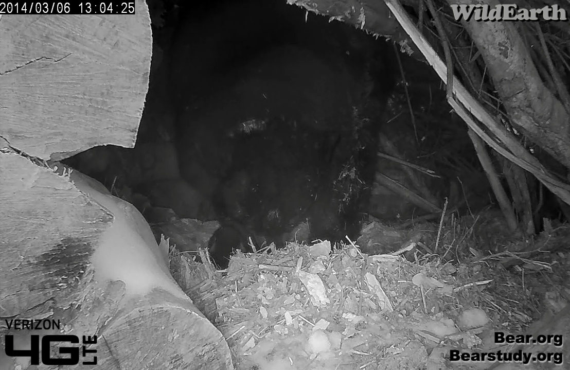 Juliet uses the latrine