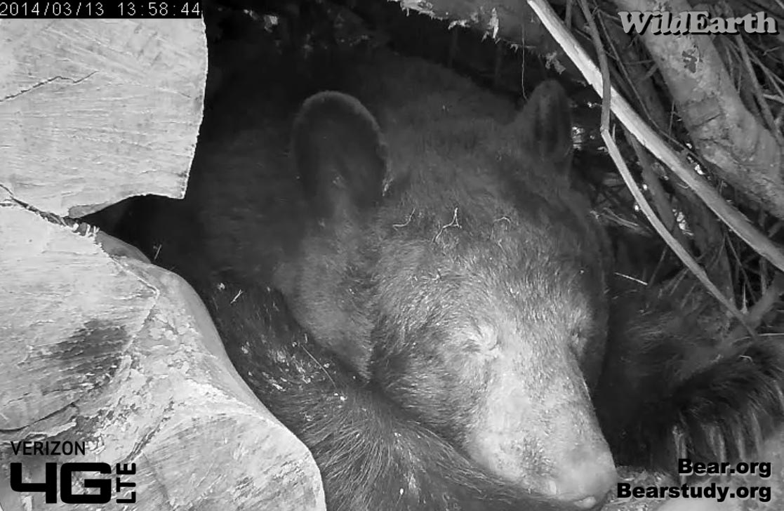 Juliet tries to rest