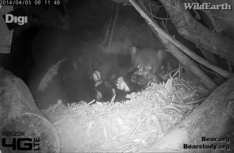 Feet, feet, and more feet!