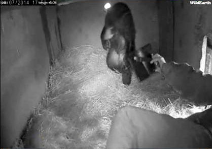 Lynn leaves Hollys den