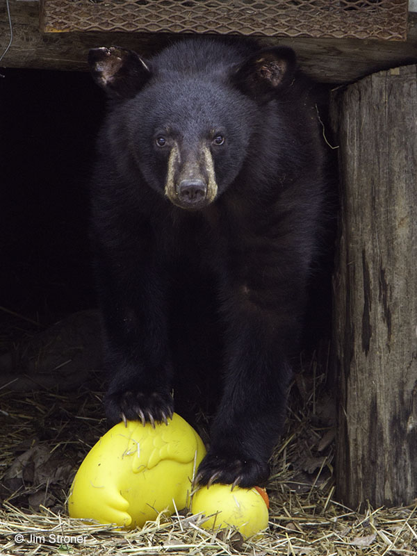 Holly and her rubber ducky