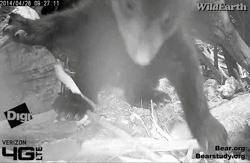 Success…a goobered lens