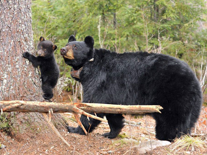 Juliet and Ray - April 3