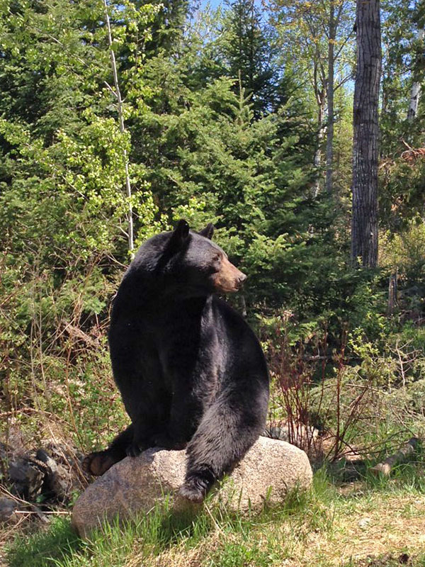 20140527 Lucky watching Honey