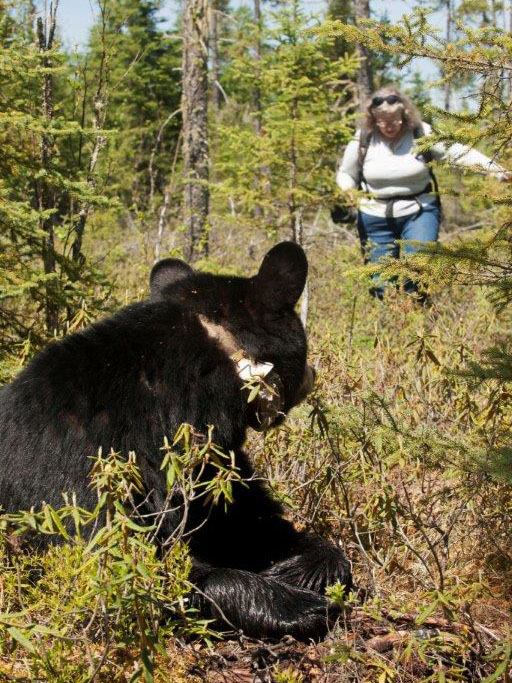 Lily watches Sue approach