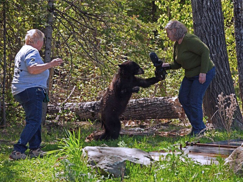 Holly initiates play