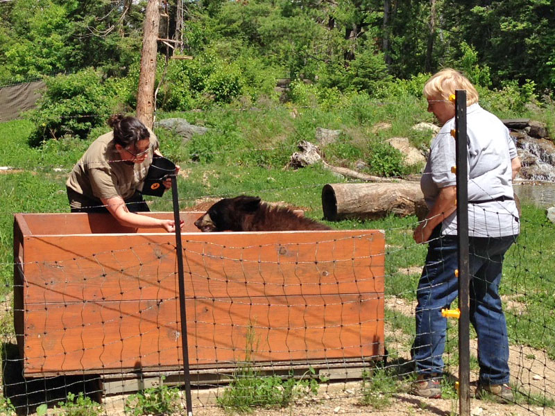 20140610 Holly gets weighed