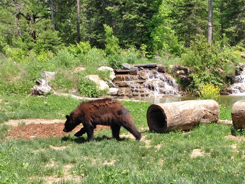Holly sees her reflection