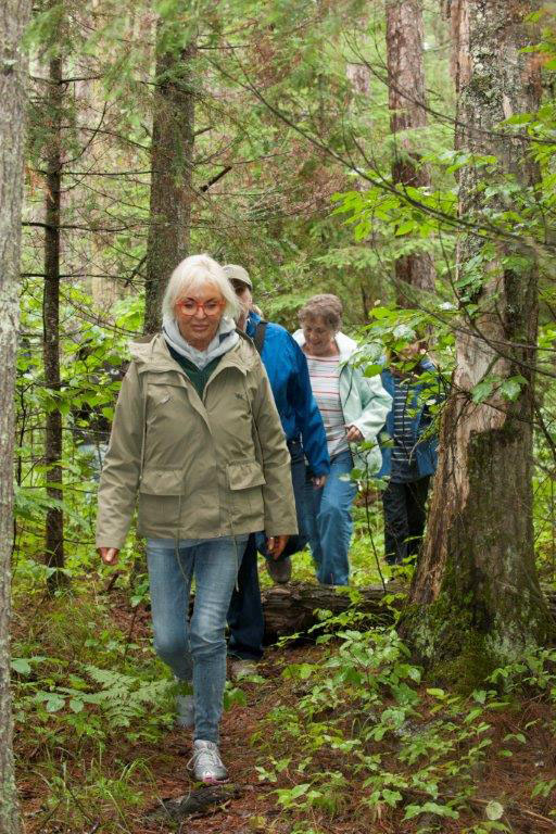 Group walking in woods