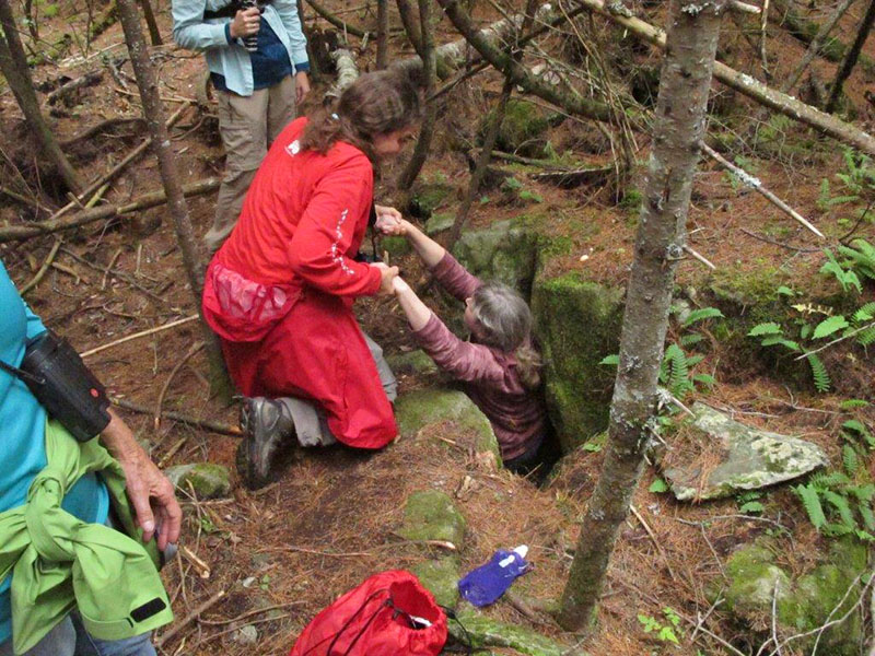 Helping hands