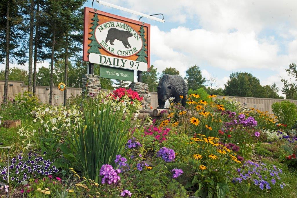 Bear Center Entrance
