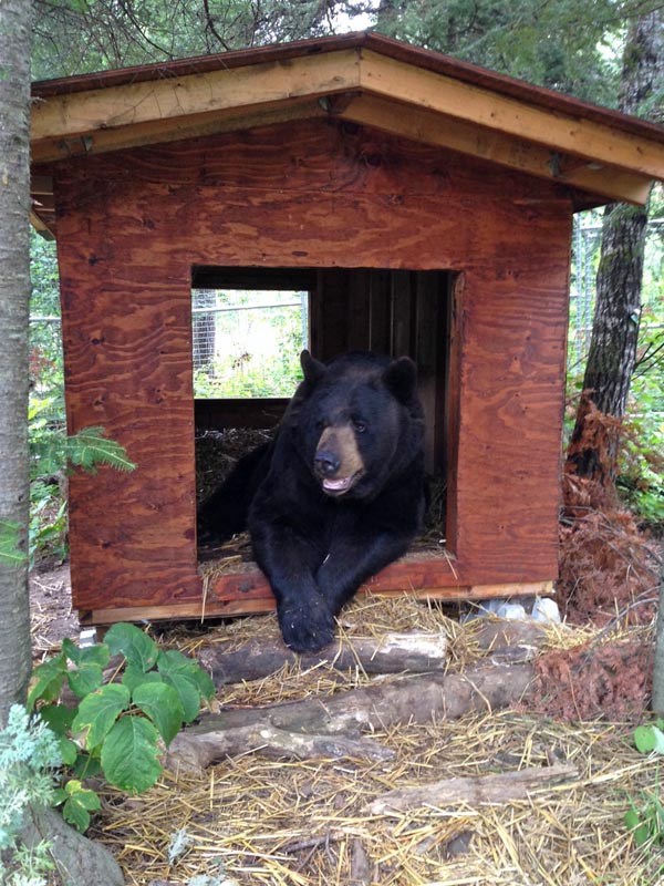 Ted in Honey's Chalet