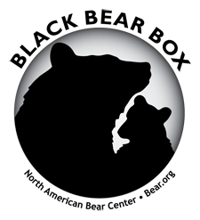 Black Bear Box logo