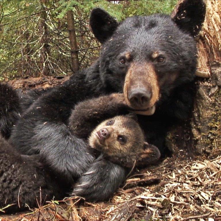June and Lily - 2007