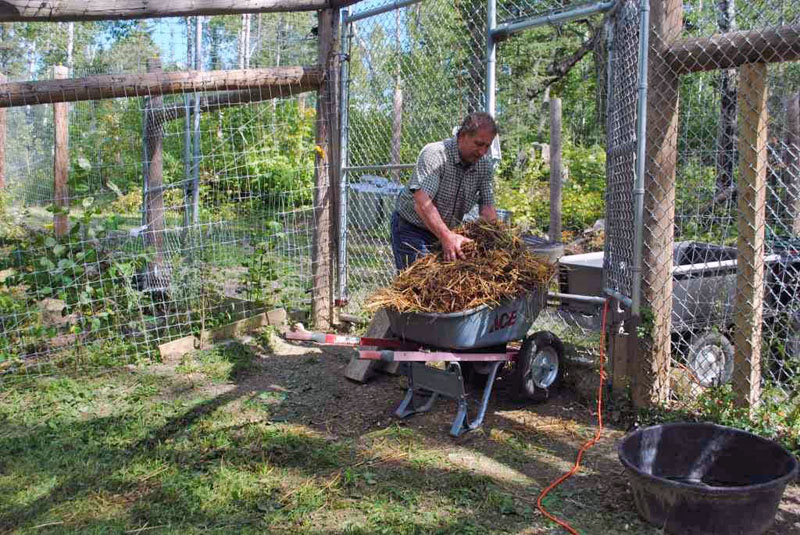 Cleaning Pens at the NABC