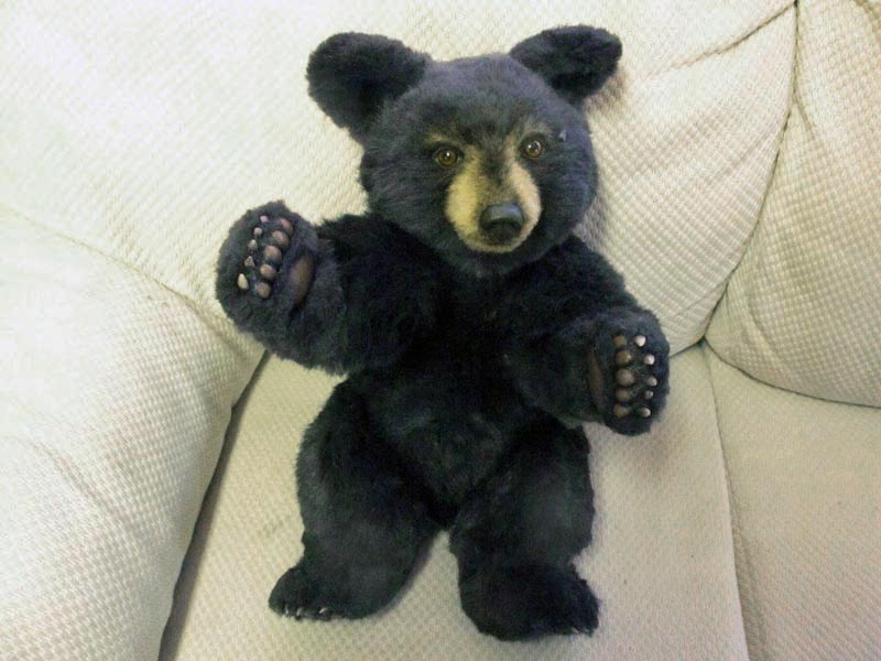 Teddy Bear made by Joanne Livingston