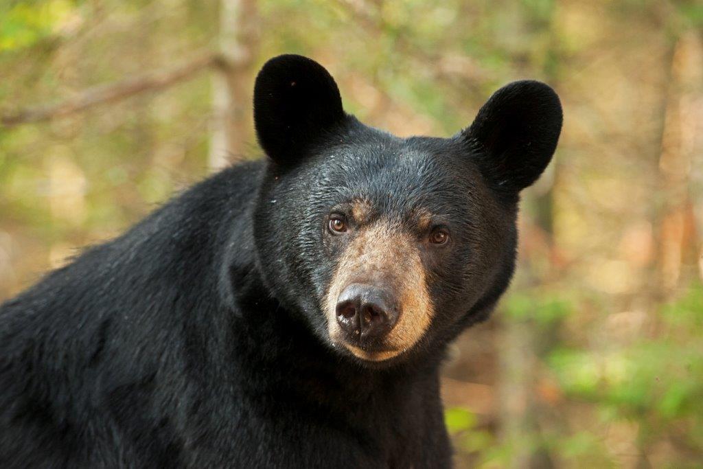 Lily - August 06, 2014