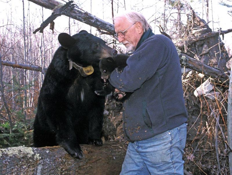 Dot sniffs cub Lynn is Holding