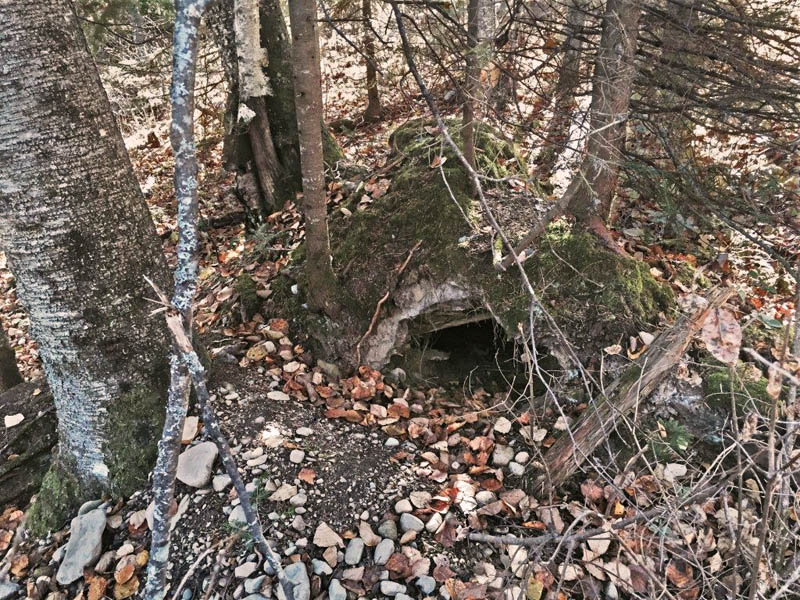 Asters 2013/2014 Den