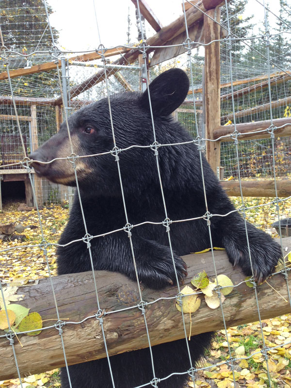 Holly waiting for the group